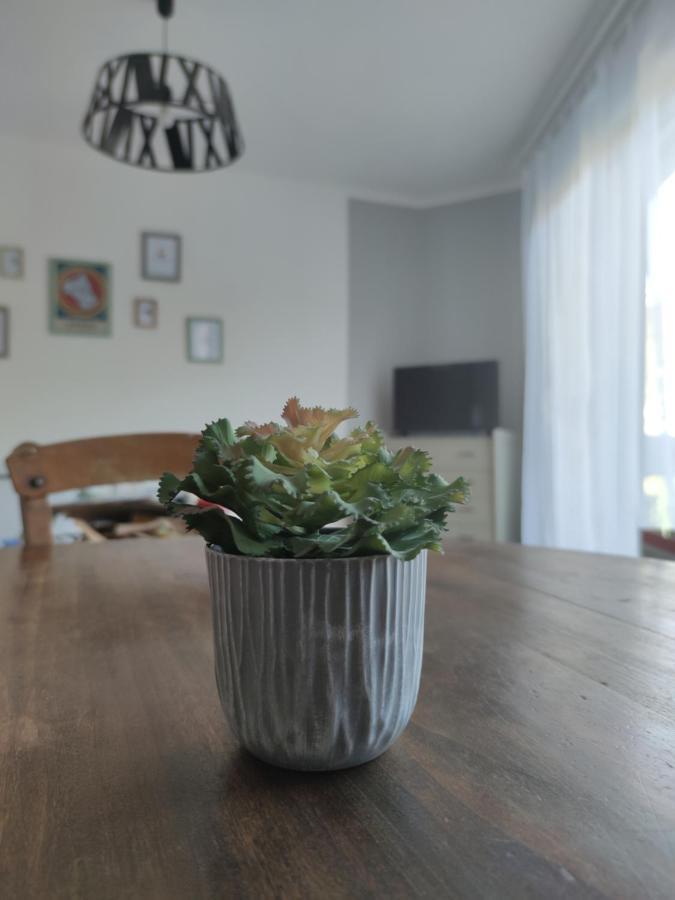 Les Plantades Aveyronnaises Apartment Saint-Georges-de-Luzencon Luaran gambar